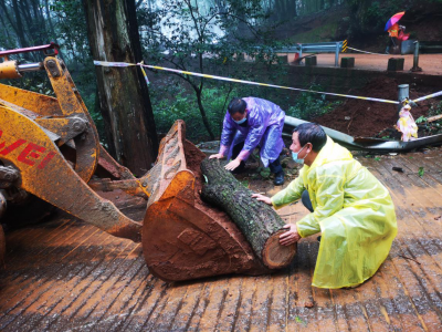 景区遭遇持续暴雨   宾川鸡足山全力以赴抢险救灾