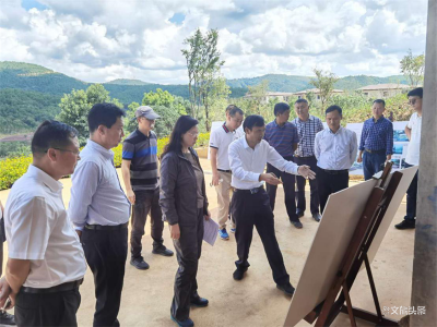 云南省政府督查室督查调研玉溪红塔区半山酒店建设