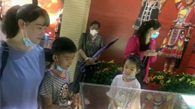 普洱市“博物馆里过暑假”活动吸引万余青少年参与