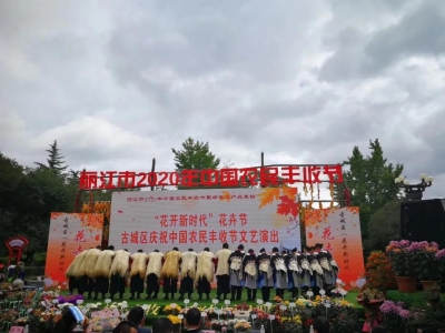 丽江载歌载舞庆丰收 古城区“花卉节”为古城增色添彩