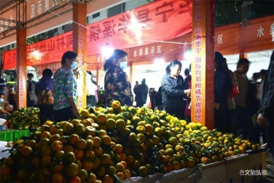 第十八届中国·云南华宁国际陶都柑桔节成功举办