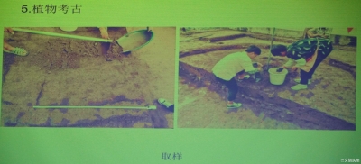 丽江“为都古墓群”考古出土商周时期遗物1000余件，还引出新发现...