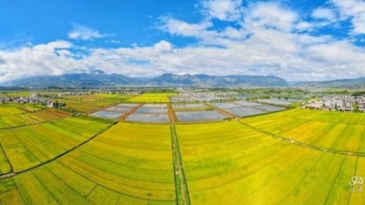 【多图】大理洱源：醉美秋天里的春天