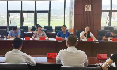 澄江市召开重大涉文旅项目固定资产投资工作协调会
