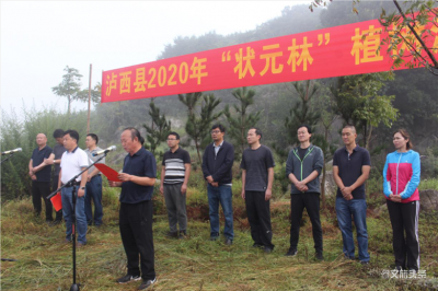 泸西县举行2020年普通高考优秀学子植树活动