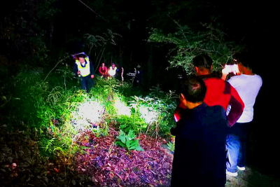 游客夜晚迷路 大理鸡足山景区高效救援