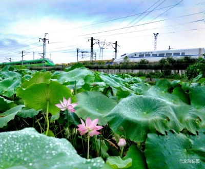 云南：8月铁路客流回升快 环比增长40%