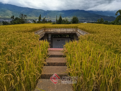 網(wǎng)紅打卡地“空中稻田劇場(chǎng)”就在大理洱源