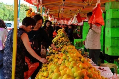 云南华宁国际陶都柑桔节今天开幕啦！快来看看碗窑村都有哪些精彩活动