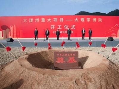 大理茶博院项目开工陈坚宣布开工 杨国宗致辞