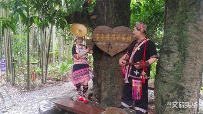 玉溪市2个节目入选云南省民间故事展演决赛