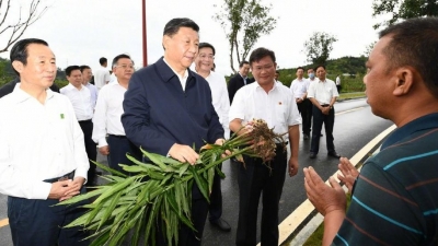 习近平赴湖南考察调研