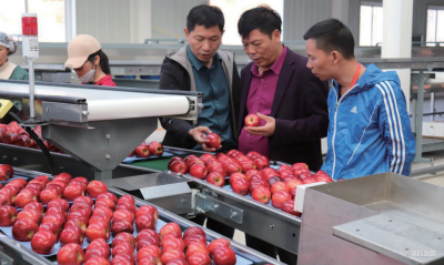 2020年云南省“10大名品”揭晓
