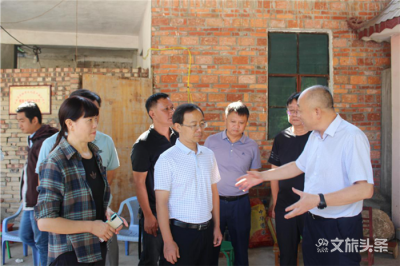 推动非遗保护传承  红河州人大常委会开展执法检查