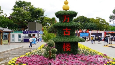 国旗飘扬 百花争艳 3万余盆菊花惊艳亮相丽江古城 