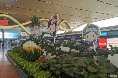昆明机场多举措服务旅客假期出行