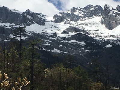 今天，一批特殊的游客在丽江玉龙雪山景区收获美景和爱