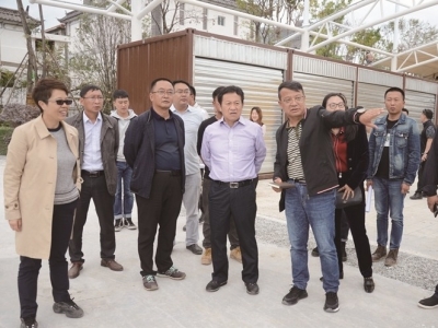 陈坚专题调研杨丽萍大剧院建设工作 强调高标准打造大理文化旅游“新地标”