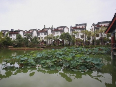 “云南第一村”，共同富裕为什么能？