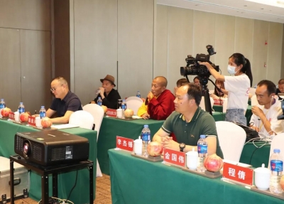 “石榴哥”携团队半月售出1000多吨丽江石榴 实现1500余万元销售额