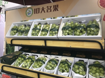 2020年云南省“10强企业”“20佳创新企业”公布