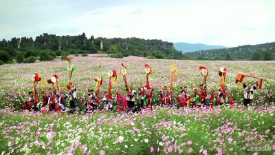 国庆花开，石海醉人，门票半价...“双节”大假快来石林玩！