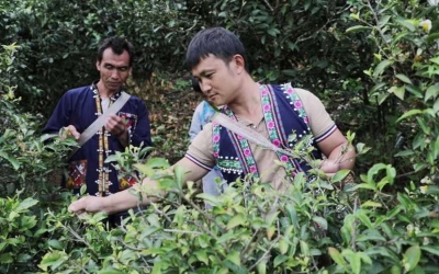 普洱又有两家非遗扶贫工坊挂牌 有效带动当地群众增收