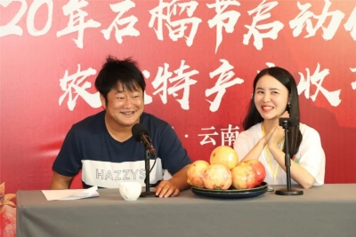 “石榴哥”携团队半月售出1000多吨丽江石榴 实现1500余万元销售额