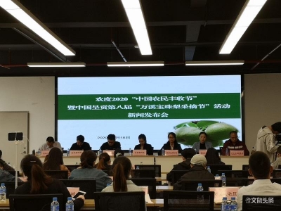 今年梨王有多大？昆明市呈贡区第八届“万溪宝珠梨采摘节”活动明天开幕！