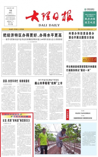 云龙：民族“老味道”焕发新活力