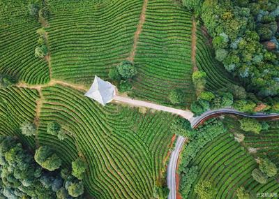 乐游玉溪 优惠不停丨宿在云茶山庄，品茶、听风、见自己......