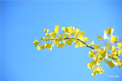 色彩斑斓藏不住，秋日至美太平湖