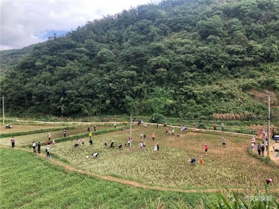 双节期间五华区迎来客流高峰 乡村旅游累计接待游客18.7万余人次
