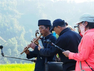 红河州有3人！2020年度乡村文旅能人支持项目拟入选人员名单发布