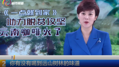 走进《新闻联合播·深度访谈》，看看云南咖啡为何“一点”就火？