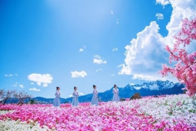 丽江雪山峡谷演艺公园为什么如此受欢迎？