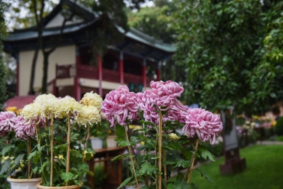 12月1日开工，昆明西山景区步行道年底开建，大观楼景区也要修...