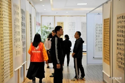 玉溪市文化馆举办第五届“碧玉清溪是我家”书法作品展