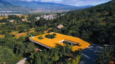 文旅融合助力大理旅游业强劲复苏