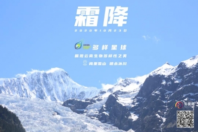 【视界】飞跃云南最大最长的冰川！快来感受清冷壮丽之美→
