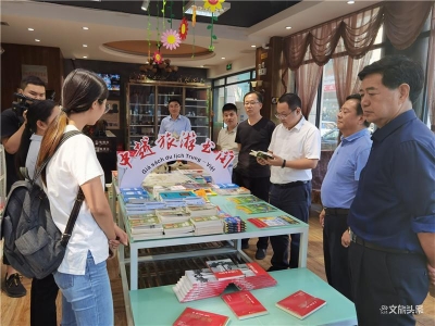 红河州河口县迎来“国门文化形象”工程创建工作省级初步验收
