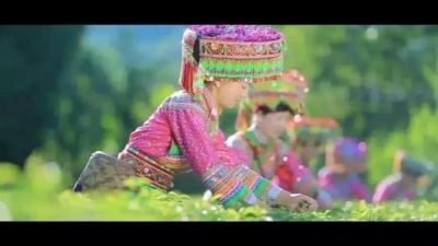 团结花开丽江美！丽江市创建全国民族团结进步示范市主题歌发布
