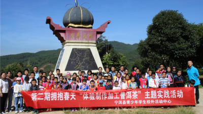 体验制作加工普洱茶，宁洱非遗传承实践活动走进校园！