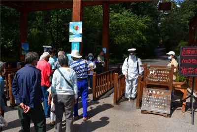严格落实景区疫情防控，为平安游普洱保驾护航！