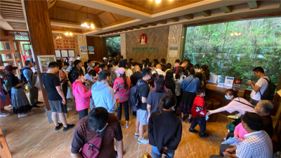 长假第三天 普洱旅游市场持续稳定，接待游客6.77万人次！