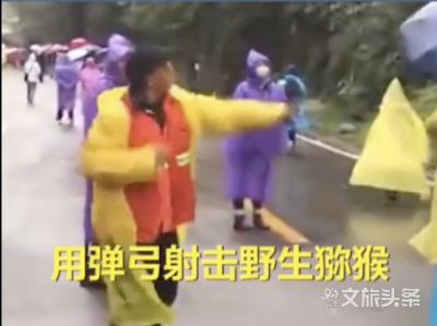 景区工作人员用弹弓赶猕猴，引发网友热议