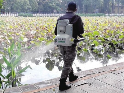 翠湖公园消毒迎海鸥 每天消毒次数增加到3次