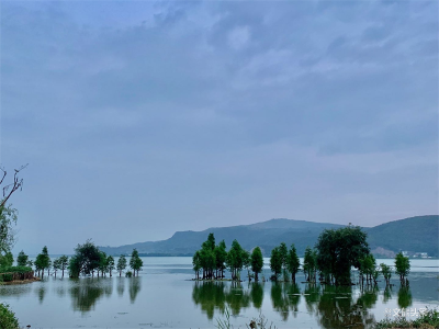 【自驾游玉溪】江川：来一场感悟历史，乐享湖光景的旅行