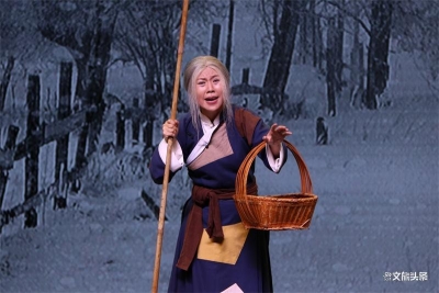 玉溪市参加2020年云南省花灯滇剧艺术周成绩优异