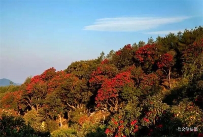 喜讯！新平县磨盘山国家森林公园康养基地拟入选2020年第六批全国森林康养基地试点建设单位